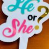 1E1511C0-ED6A-4DAC-AA59-4FB488F8F265-pichi cake topper baby shower - Bubbly Decors