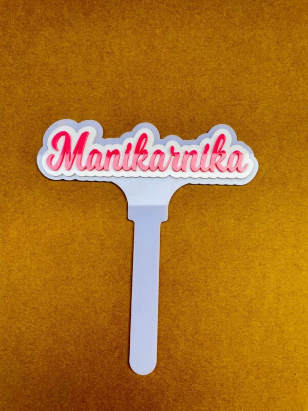 IMG_1106-pichi name cake topper white and pink - Bubbly Decors