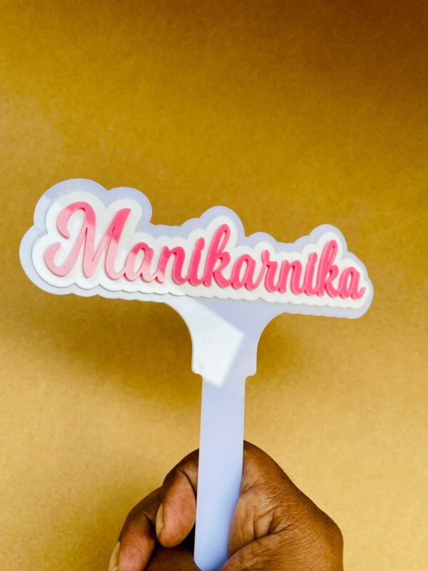 IMG_1109-pichi name cake topper white and pink - Bubbly Decors