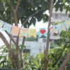 IMG_2017-pichi Banner Flag Model - Bubbly Decors