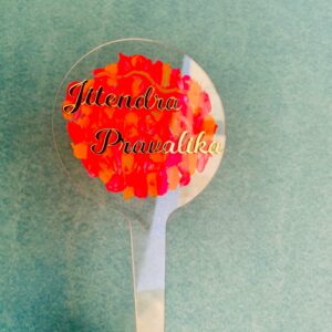 IMG_2382-pichi cake topper hand painted - Bubbly Decors