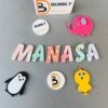IMG_2677_38_-pichi Alphabet Magnets - Bubbly Decors