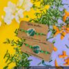 Alphabets magnets Rakhi Combo Hamper - Bubbly Decors