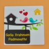 IMG_3590-pichi Name board Birds themed - Bubbly Decors