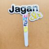 IMG_4524-pichi Birthday cake topper - Bubbly Decors