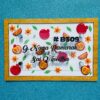 IMG_5372-pichi Name board pomegranate theme - Bubbly Decors